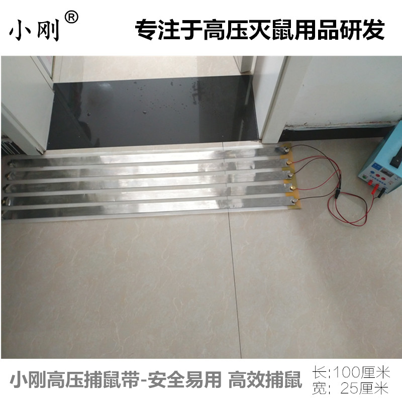 讓天下沒(méi)有難滅的老鼠記：小剛電子捕鼠帶